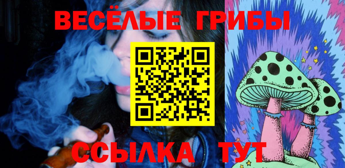 Псилоцибиновые грибы GOLDEN TEACHER  Вход с VPN  Псилоцибиновые грибы Psilocybine cubensis  Донской 
